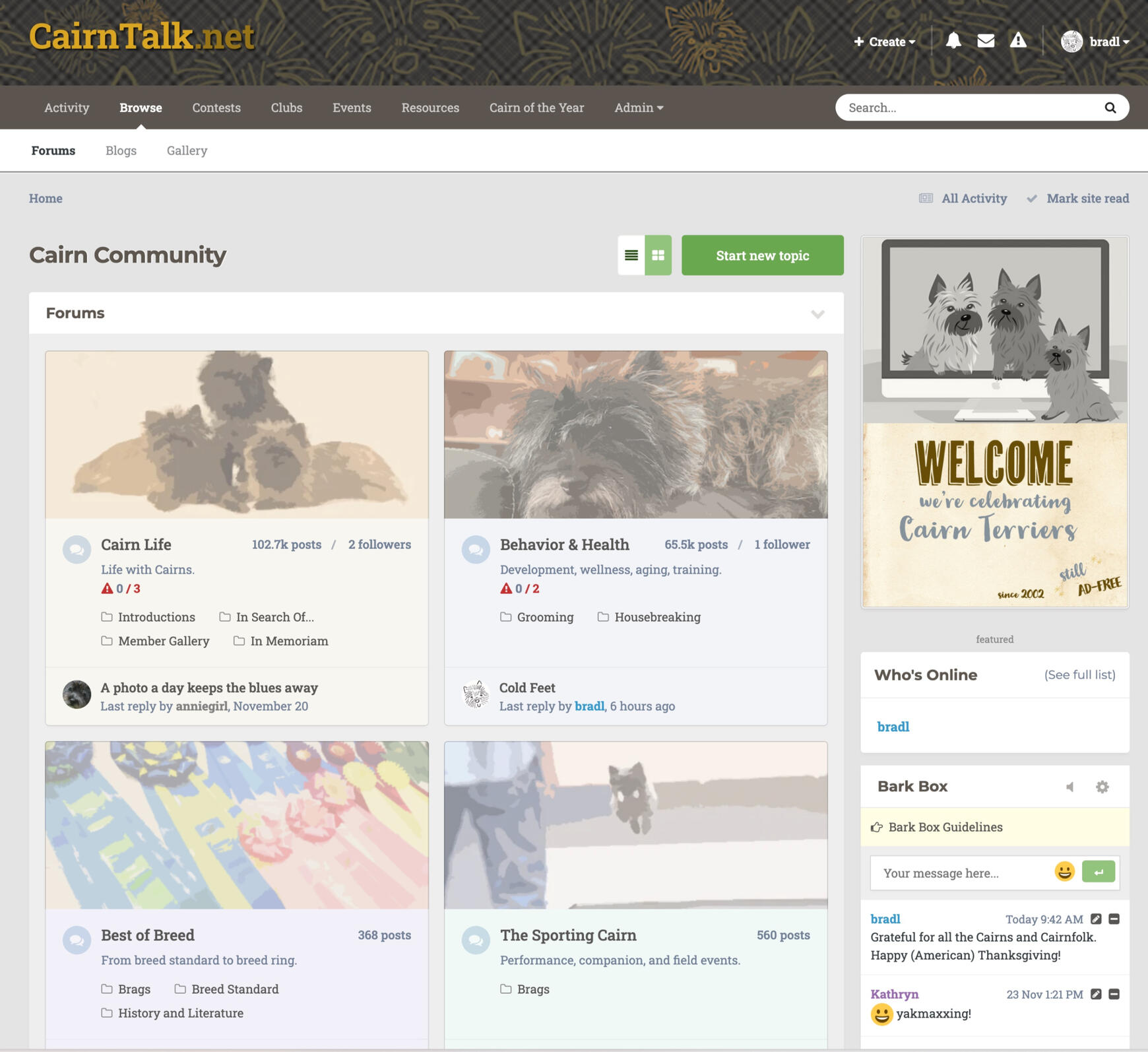 A screenshot of a forum front page showing colorful blocks illustrating the theme of various forums.