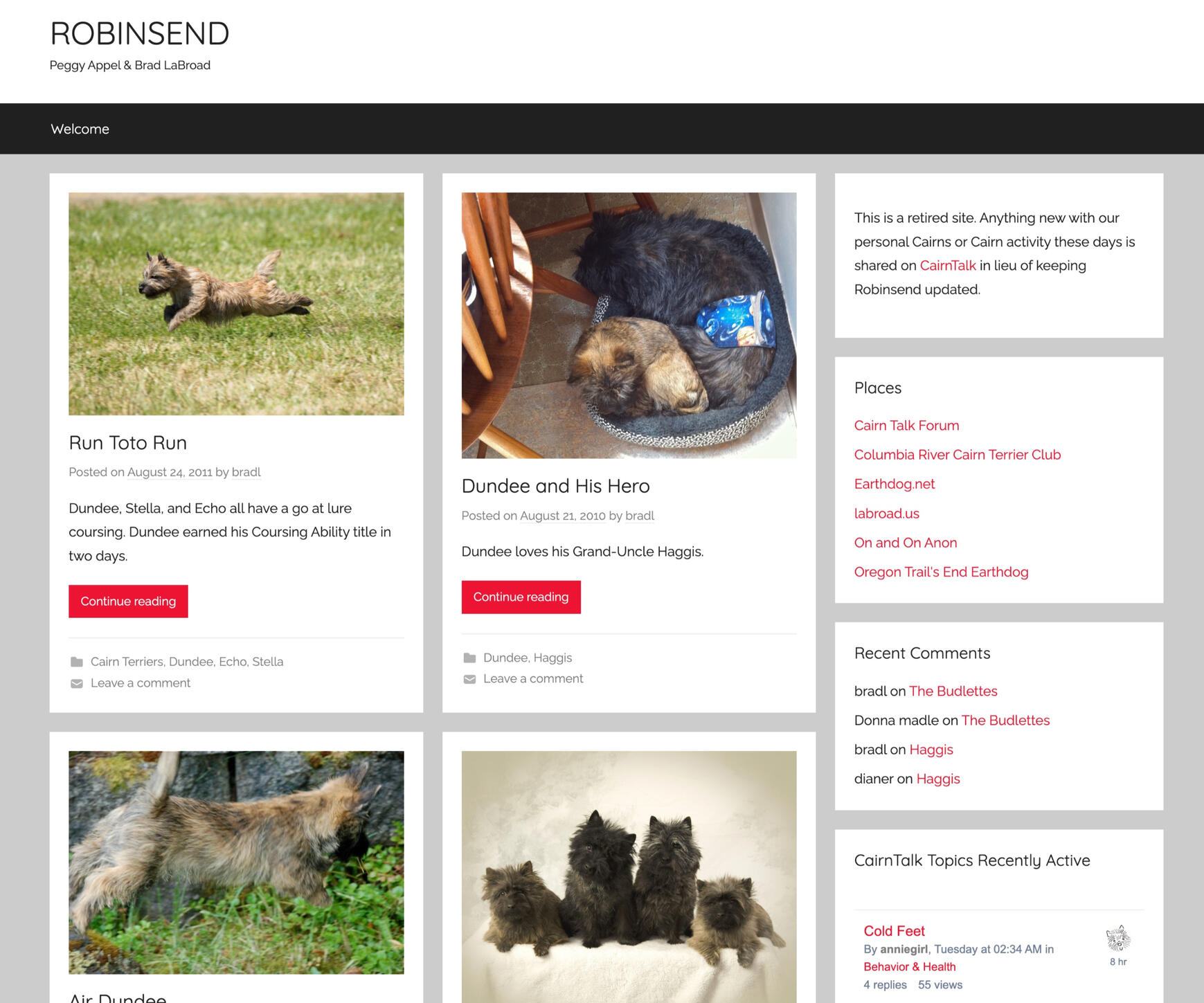 Screenshot of a personal blog with article blocks featuring Cairn Terriers running, peering at a rock, lined uo for a formal family portrait (four dogs against a cream background, and two dogs trying to furl up in the same bed.